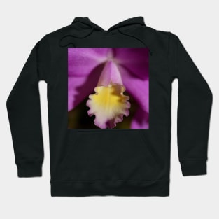 Purple & Lemon Orchid Hoodie